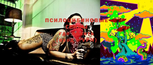 соль ск Вязники