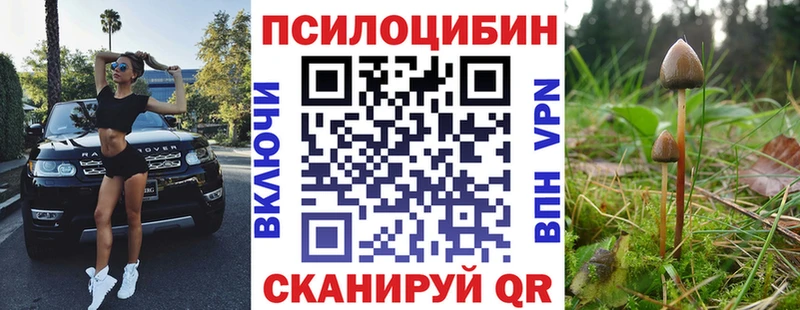 Псилоцибиновые грибы Psilocybine cubensis  как найти закладки  hydra рабочий сайт  Ермолино 